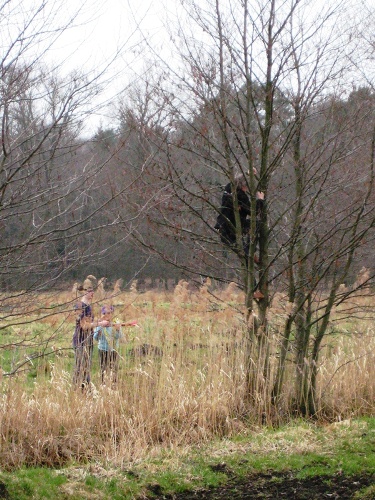 Bergung des S3 Modells aus einem Baum